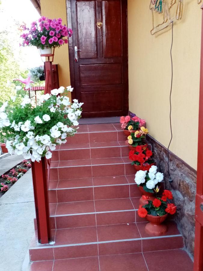 Ferienwohnung Casa Voica Turda Exterior foto