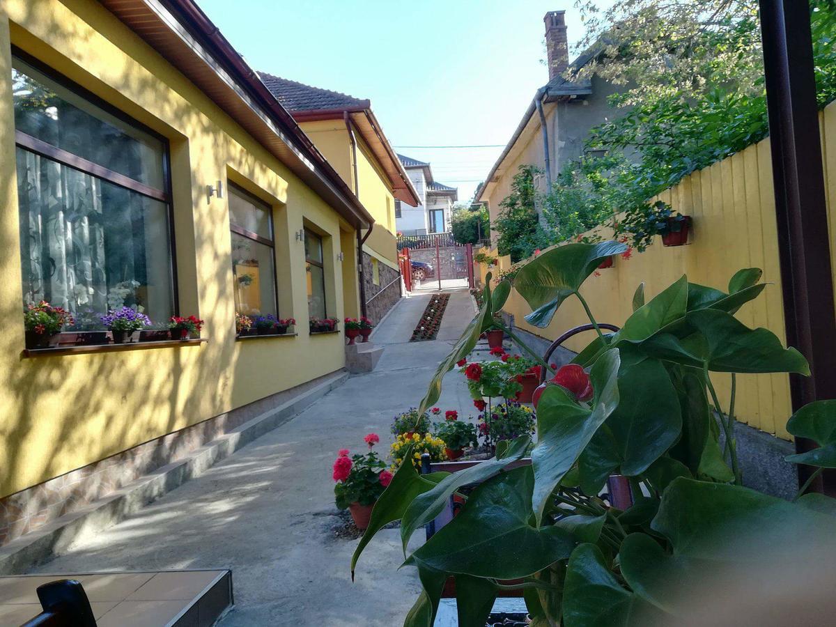 Ferienwohnung Casa Voica Turda Exterior foto