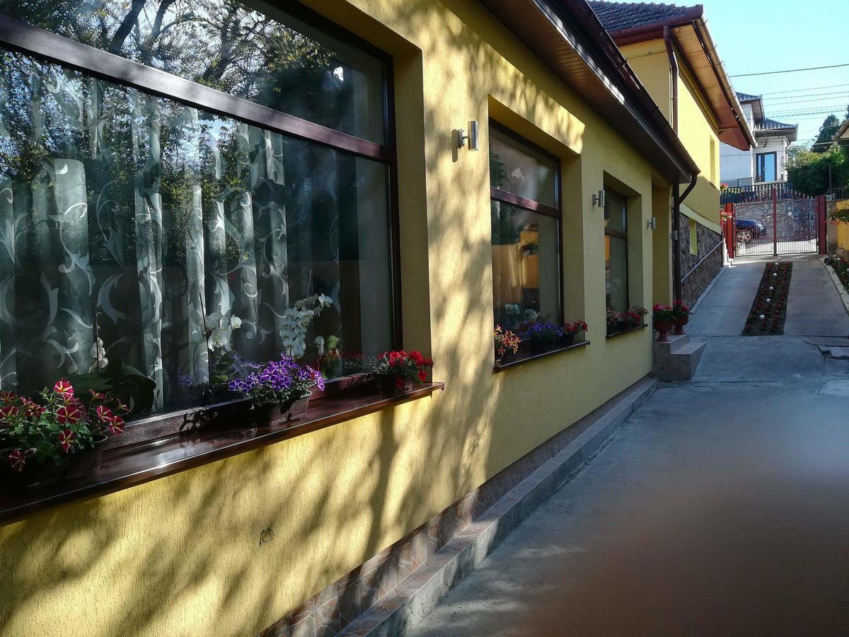 Ferienwohnung Casa Voica Turda Exterior foto